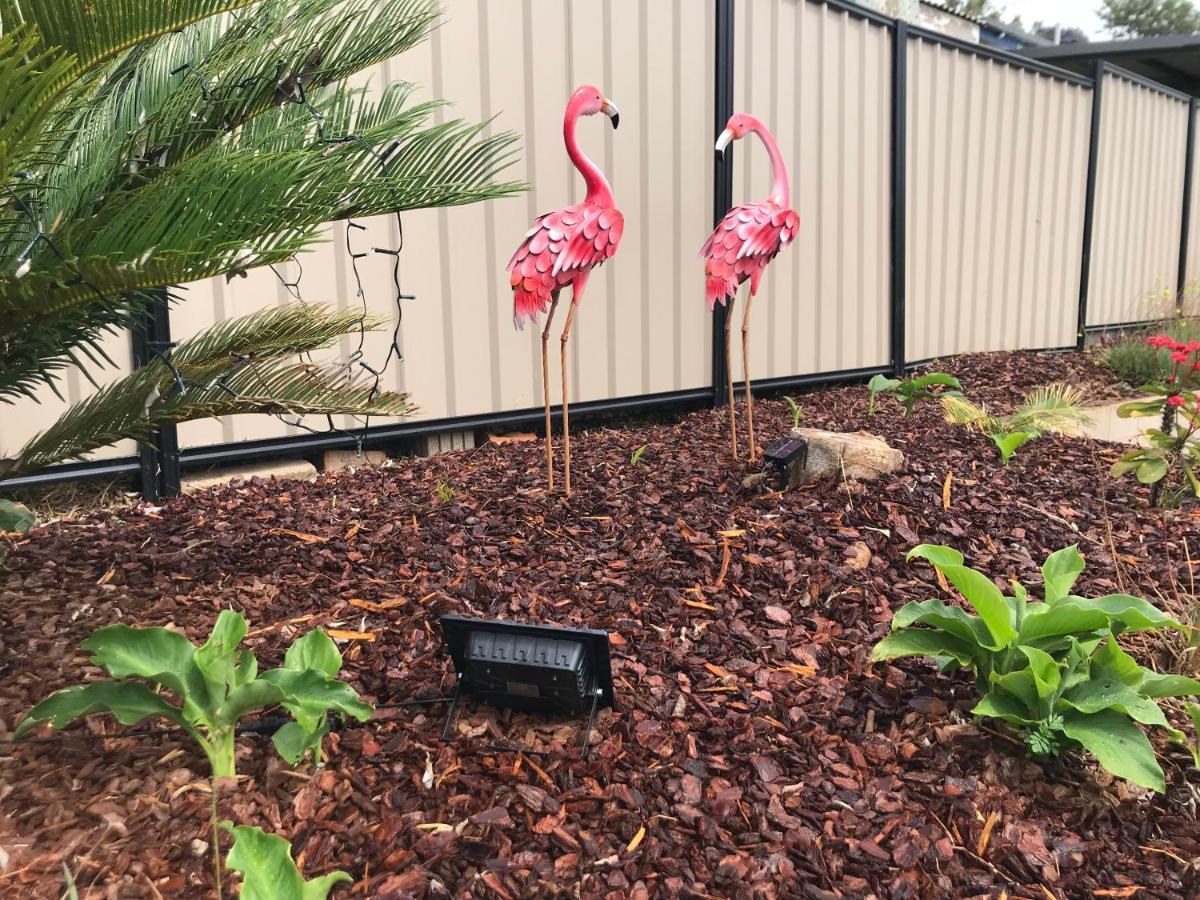 Leichhardt Motor Inn Toowoomba Εξωτερικό φωτογραφία